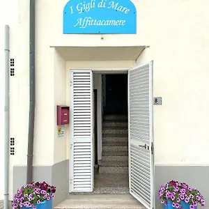I Gigli Di Mare Marina Di Bibbona
